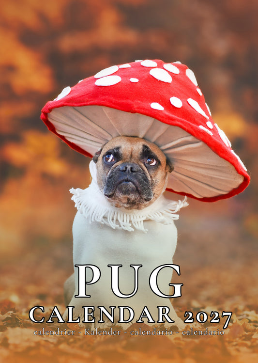 Pug Dog Calendar 2027 – M-PRA Range