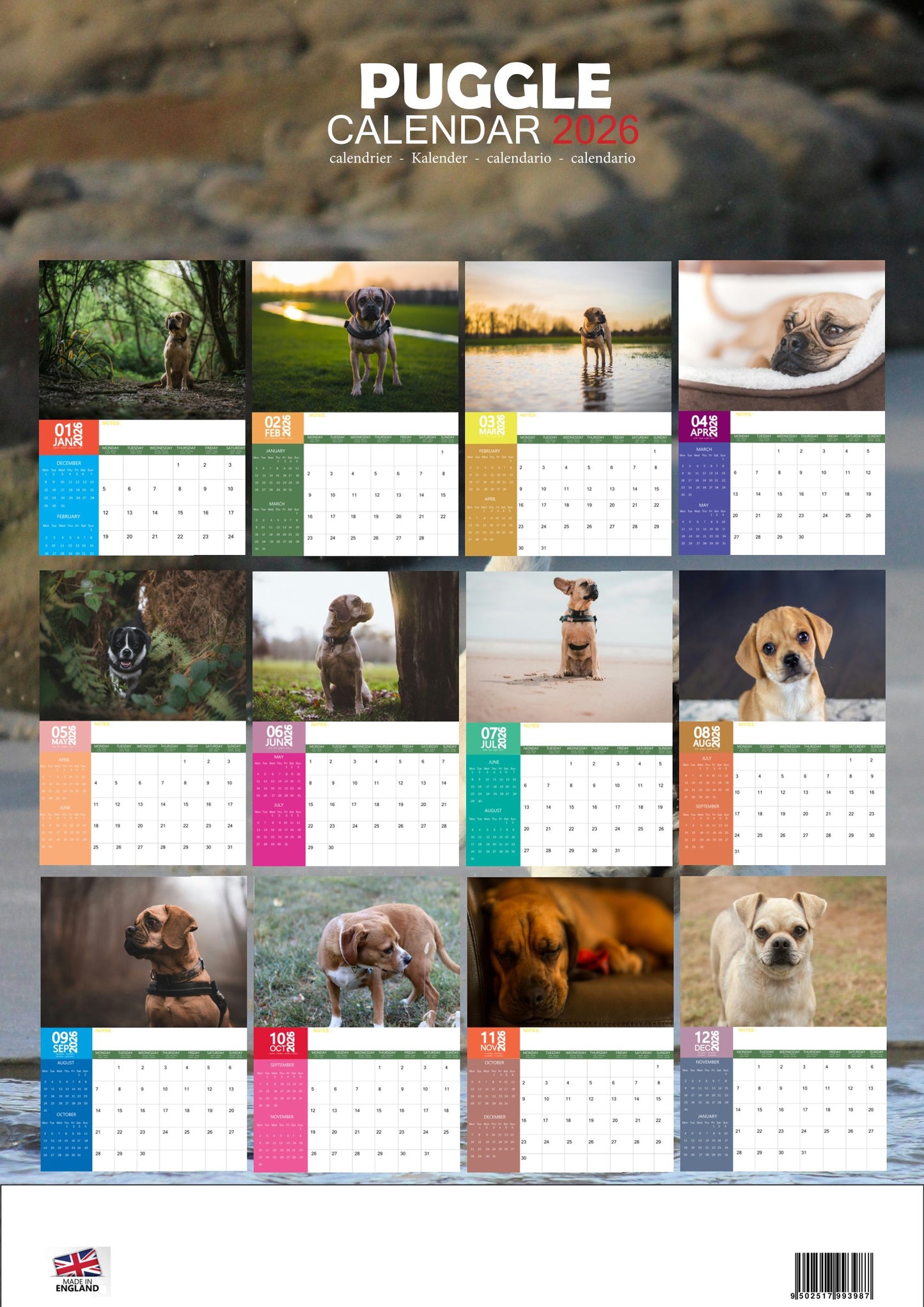 Puggle Dog Calendar 2026 – M-PRA Range