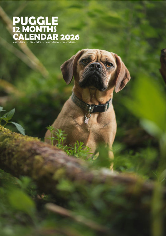 Puggle Dog Calendar 2026 – M-PRA Range