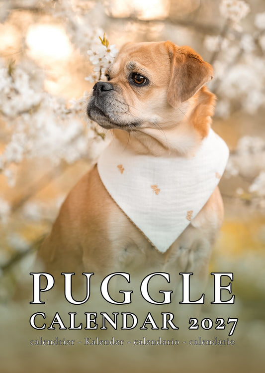 Puggle Dog Calendar 2027 – M-PRA Range
