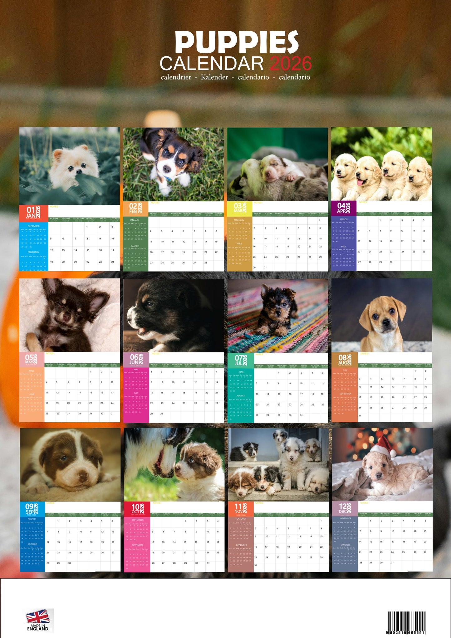 Puppies Dog Calendar 2026 – M-PRA Range