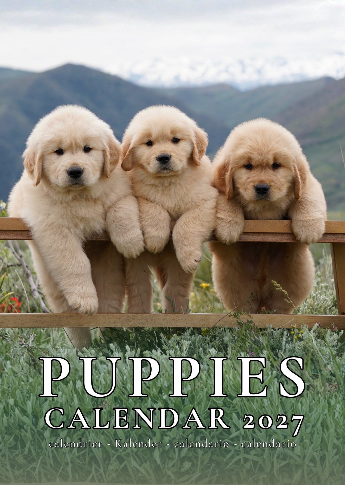 Puppies Dog Calendar 2027 – M-PRA Range
