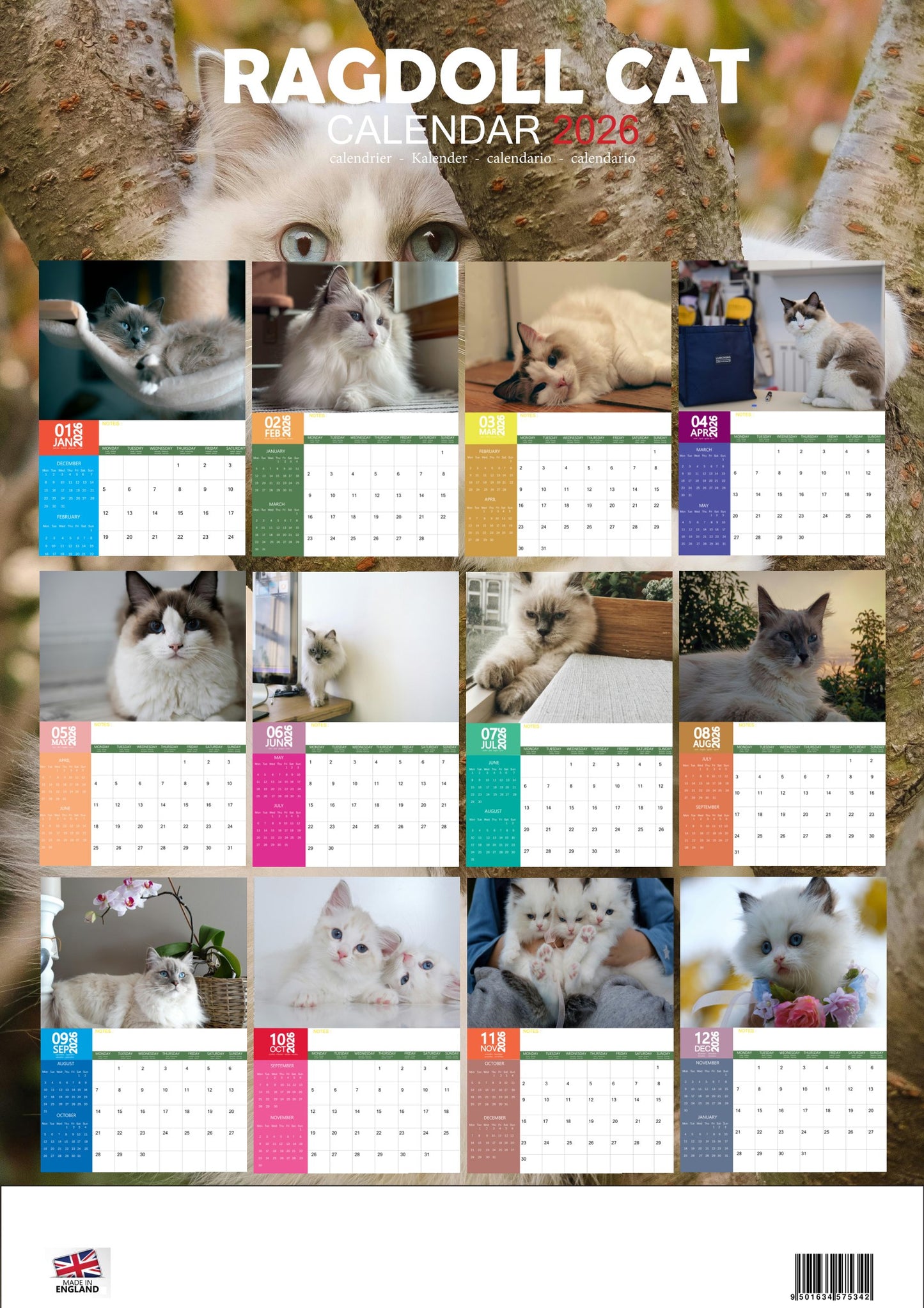 Ragdoll Cat Calendar 2026 – M-PRA Range