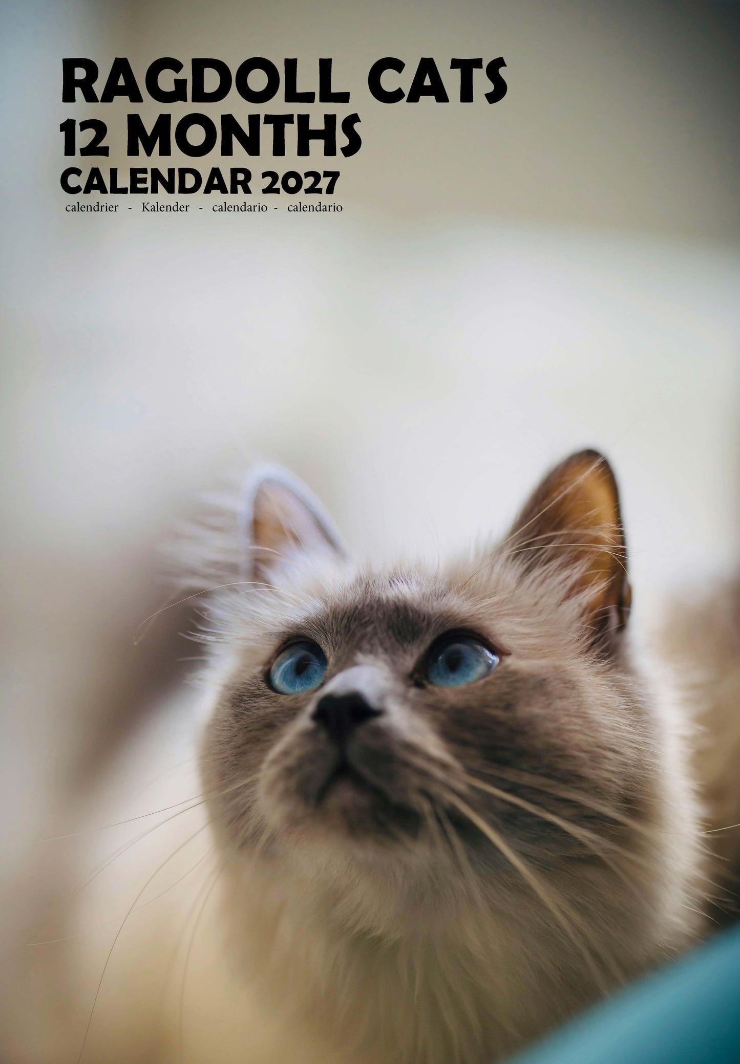 Ragdoll Cats Calendar 2027 – M-PRA Range