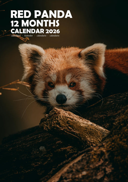 Red Panda Calendar 2026 – M-PRA Range