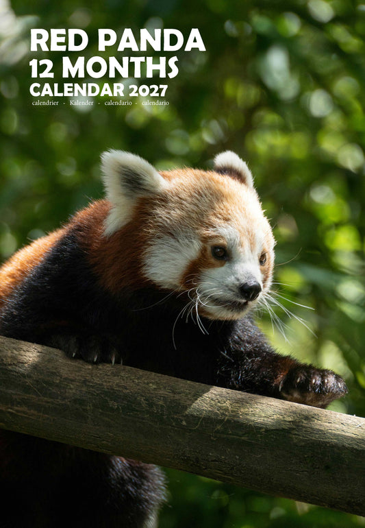 Red Panda Calendar 2027 – M-PRA Range
