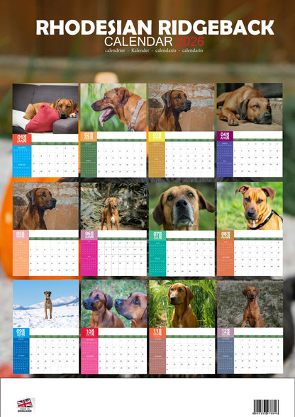 Rhodesian Ridgeback Dog Calendar 2026 – M-PRA Range