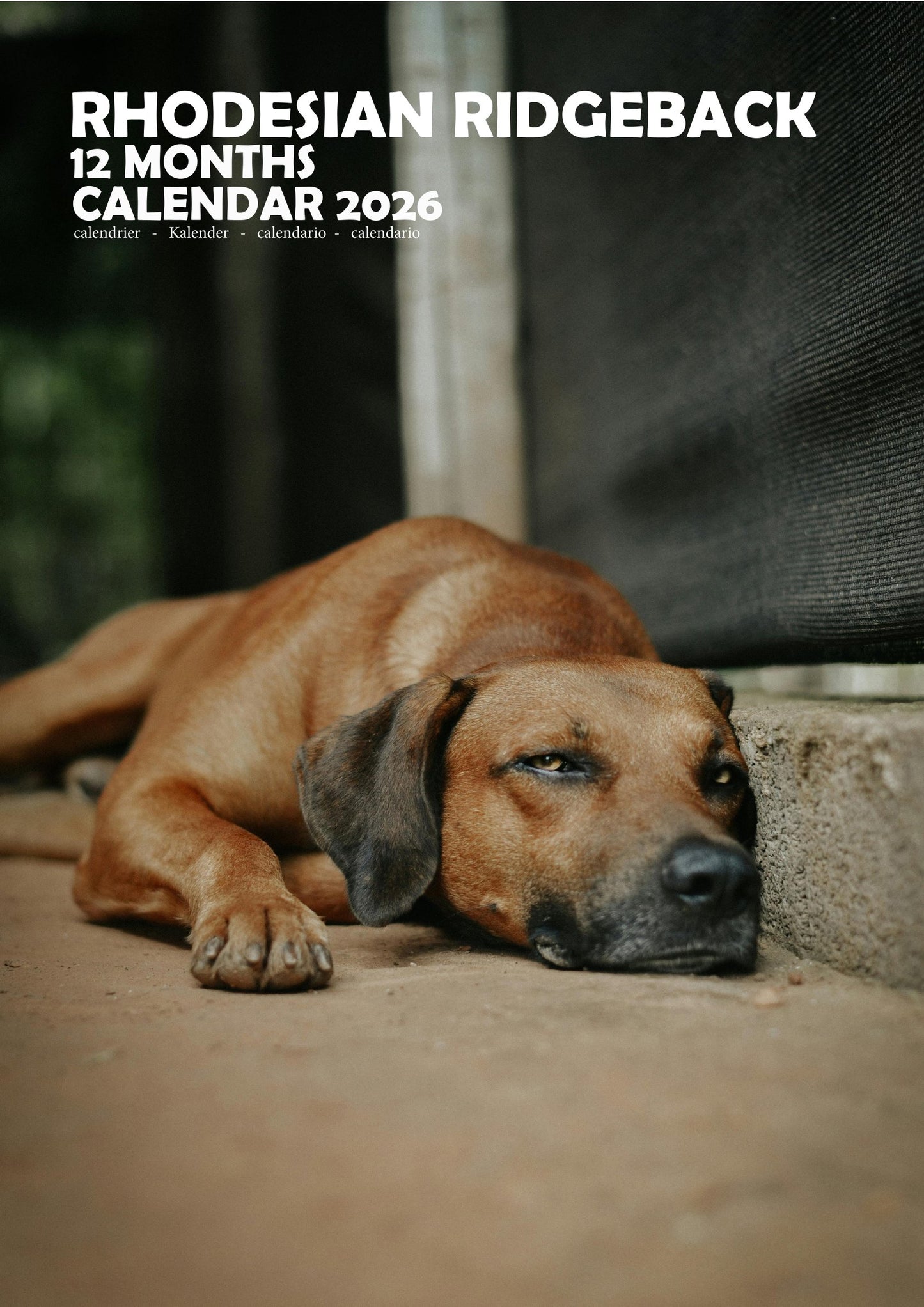 Rhodesian Ridgeback Dog Calendar 2026 – M-PRA Range