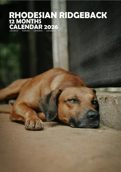 Rhodesian Ridgeback Dog Calendar 2026 – M-PRA Range