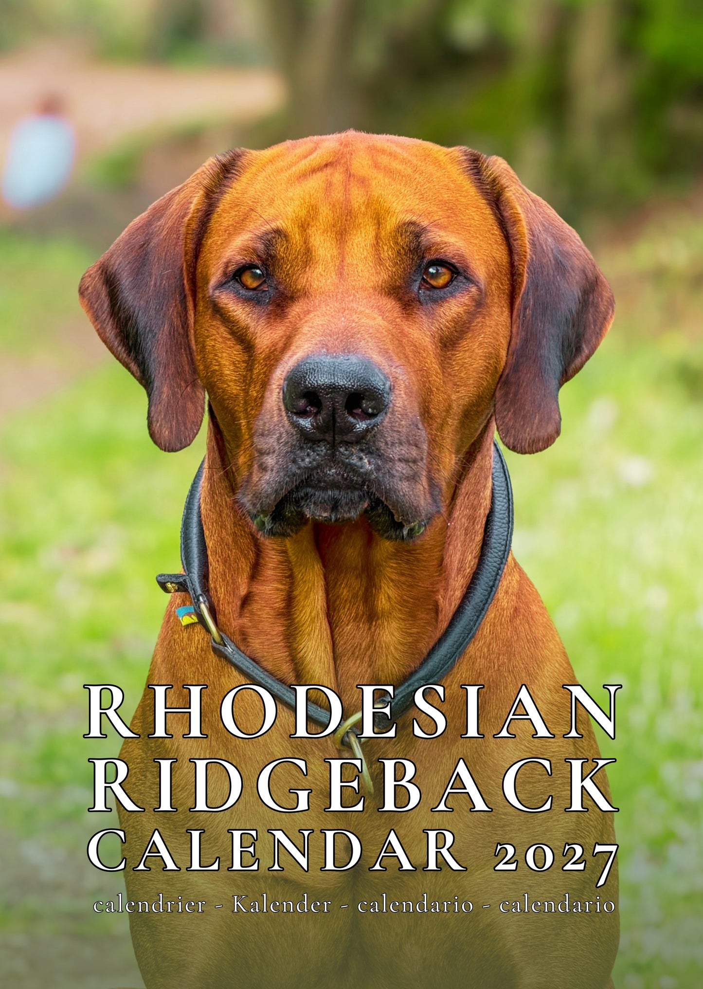 Rhodesian Ridgeback Dog Calendar 2027 – M-PRA Range