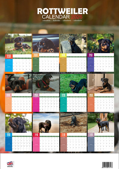 Rottweiler Dog Calendar 2026 – M-PRA Range