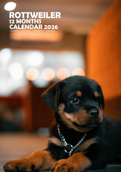 Rottweiler Dog Calendar 2026 – M-PRA Range