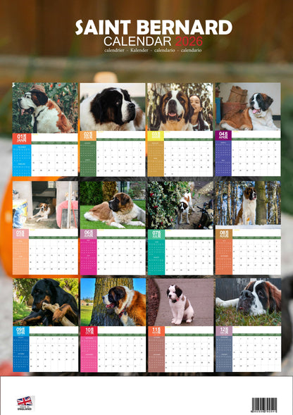 Saint Bernard Dog Calendar 2026 – M-PRA Range