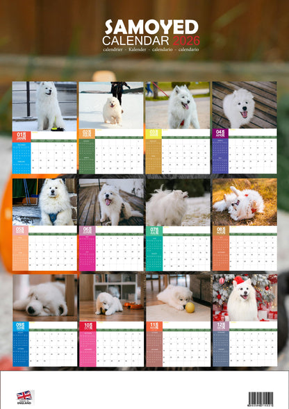 Samoyed Dog Calendar 2026 – M-PRA Range