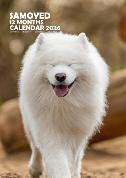 Samoyed Dog Calendar 2026 – M-PRA Range