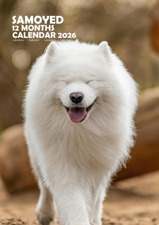 Samoyed Dog Calendar 2026 – M-PRA Range