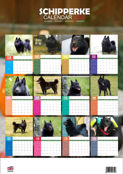 Schipperke Dog Calendar 2026 – M-PRA Range