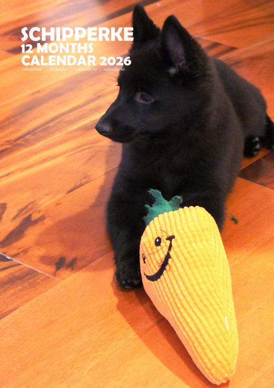 Schipperke Dog Calendar 2026 – M-PRA Range