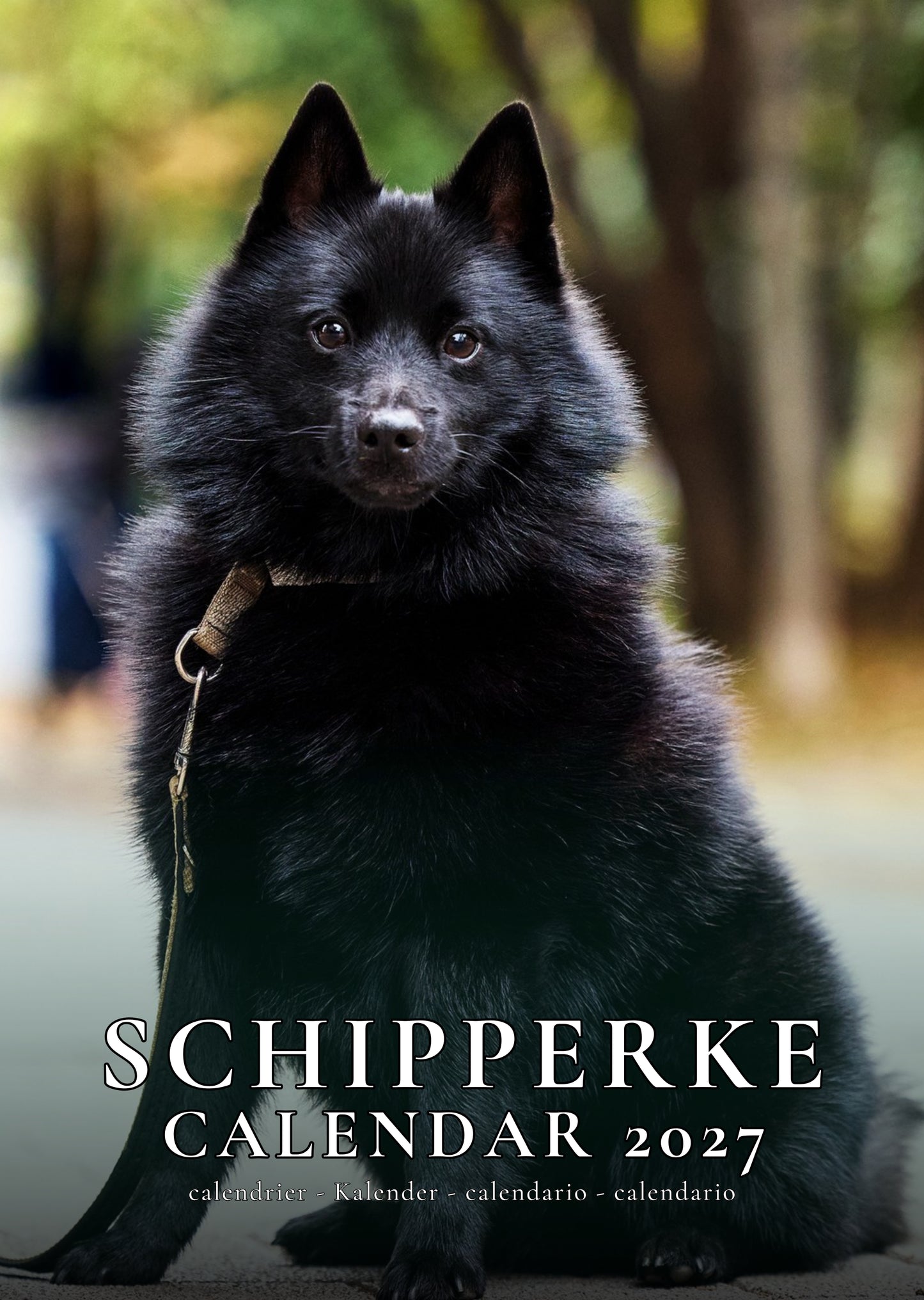 Schipperke Dog Calendar 2027 – M-PRA Range