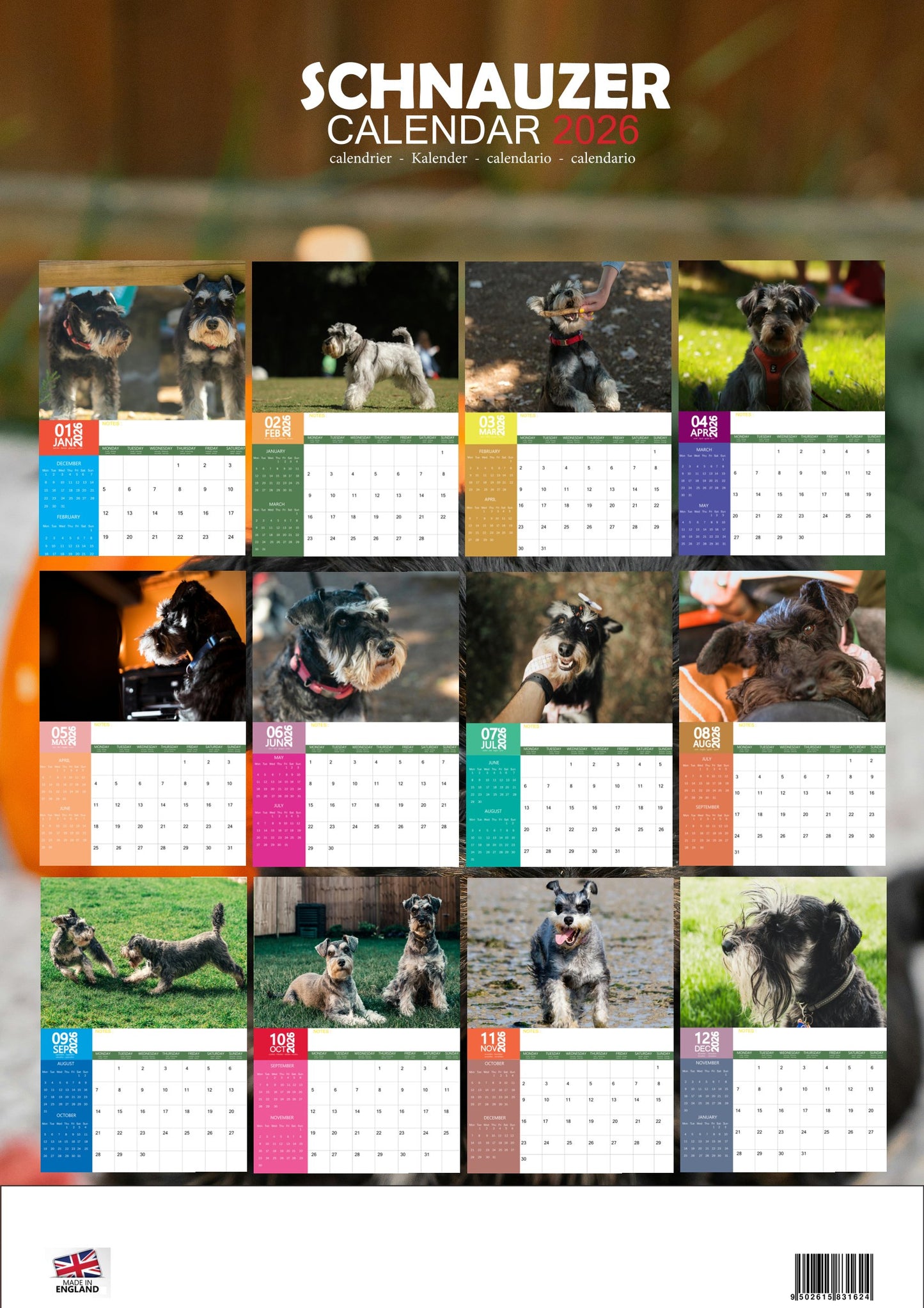 Schnauzer Dog Calendar 2026 – M-PRA Range