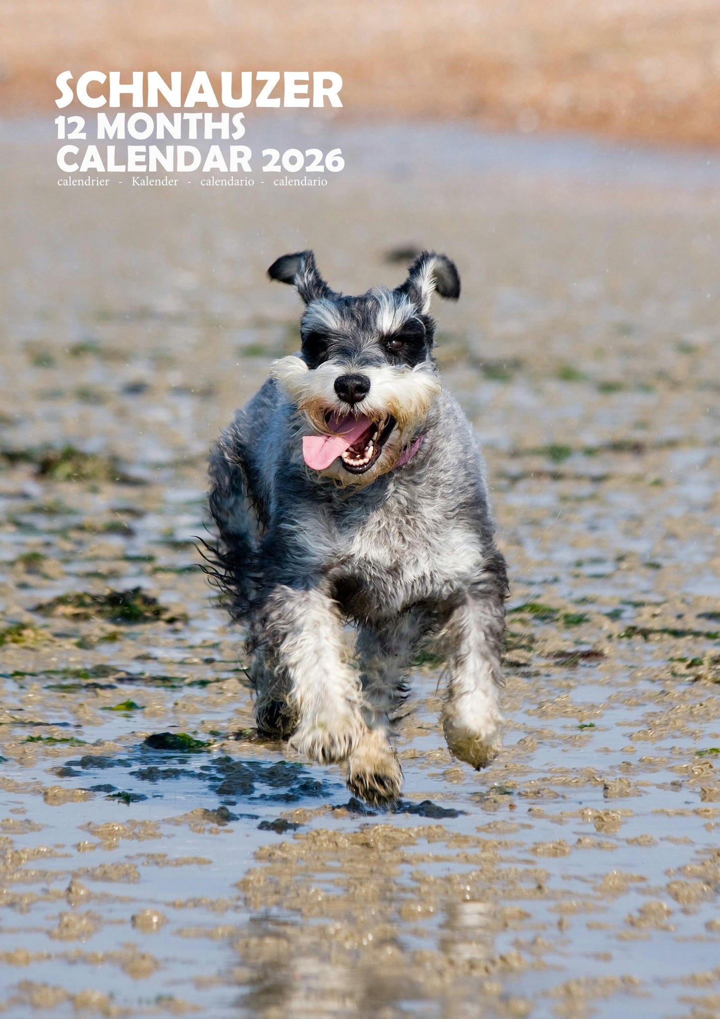 Schnauzer Dog Calendar 2026 – M-PRA Range