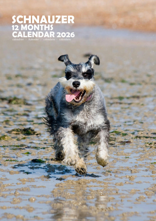 Schnauzer Dog Calendar 2026 – M-PRA Range