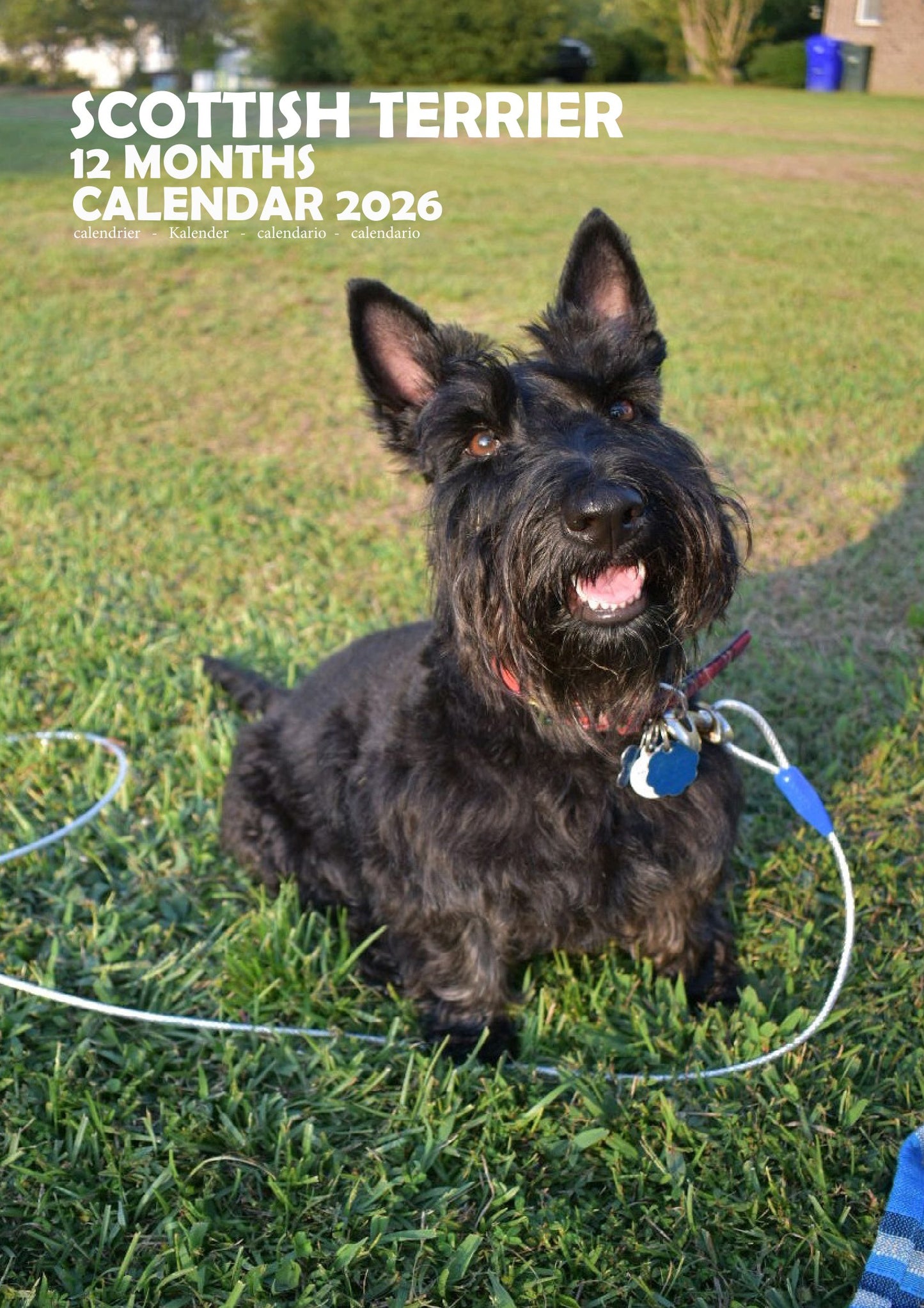 Scottish Terrier Dog Calendar 2026 – M-PRA Range