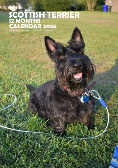 Scottish Terrier Dog Calendar 2026 – M-PRA Range