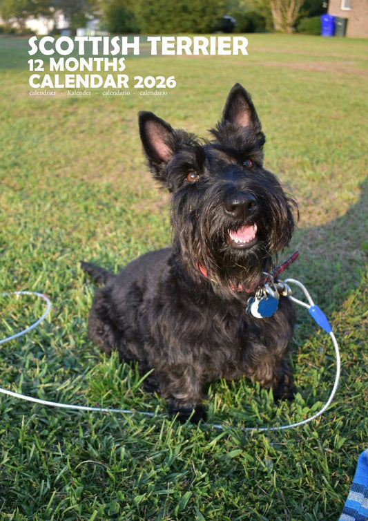 Scottish Terrier Dog Calendar 2026 – M-PRA Range