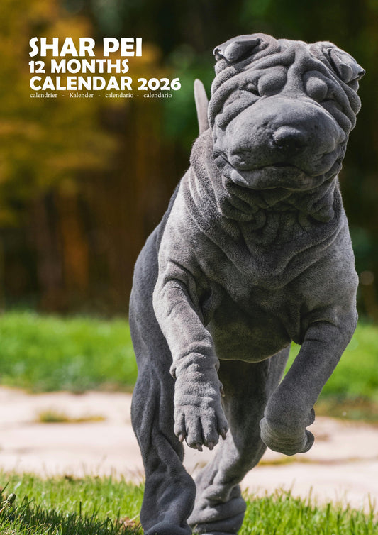 Shar Pei Dog Calendar 2026 – M-PRA Range