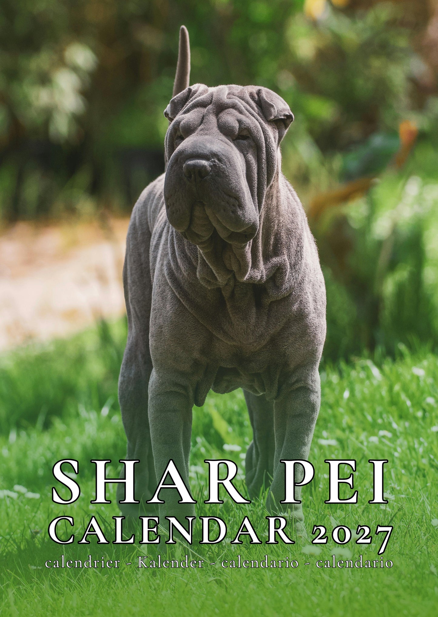 Shar Pei Dog Calendar 2027 – M-PRA Range