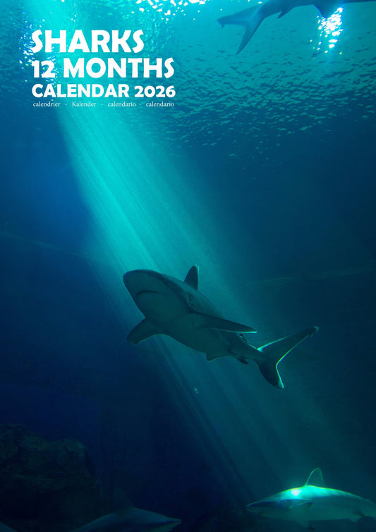 Sharks Calendar 2026 – M-PRA Range