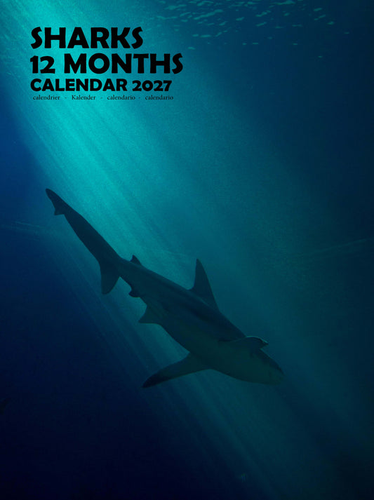 Sharks Calendar 2027 – M-PRA Range