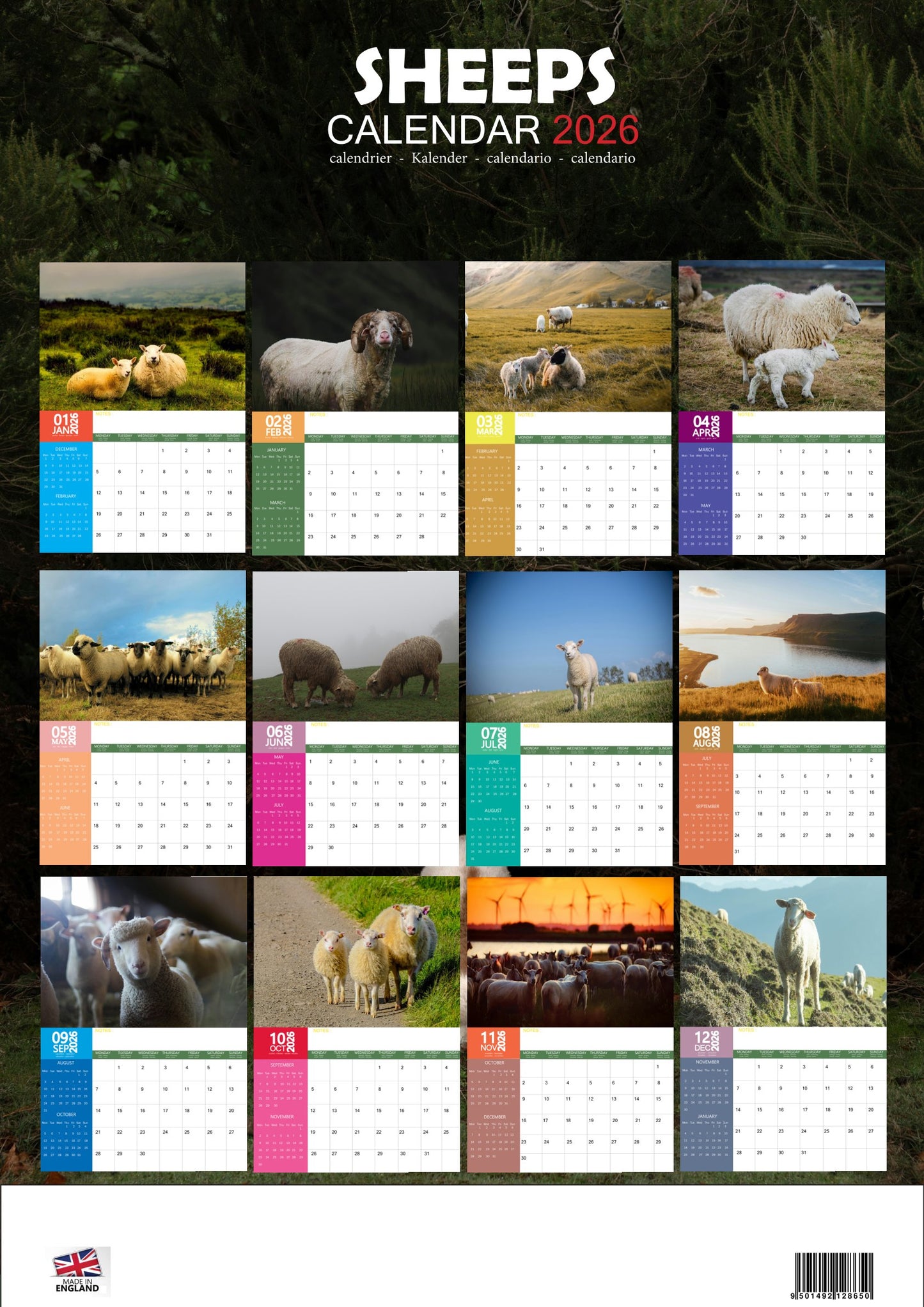 Sheep Calendar 2026 – M-PRA Range