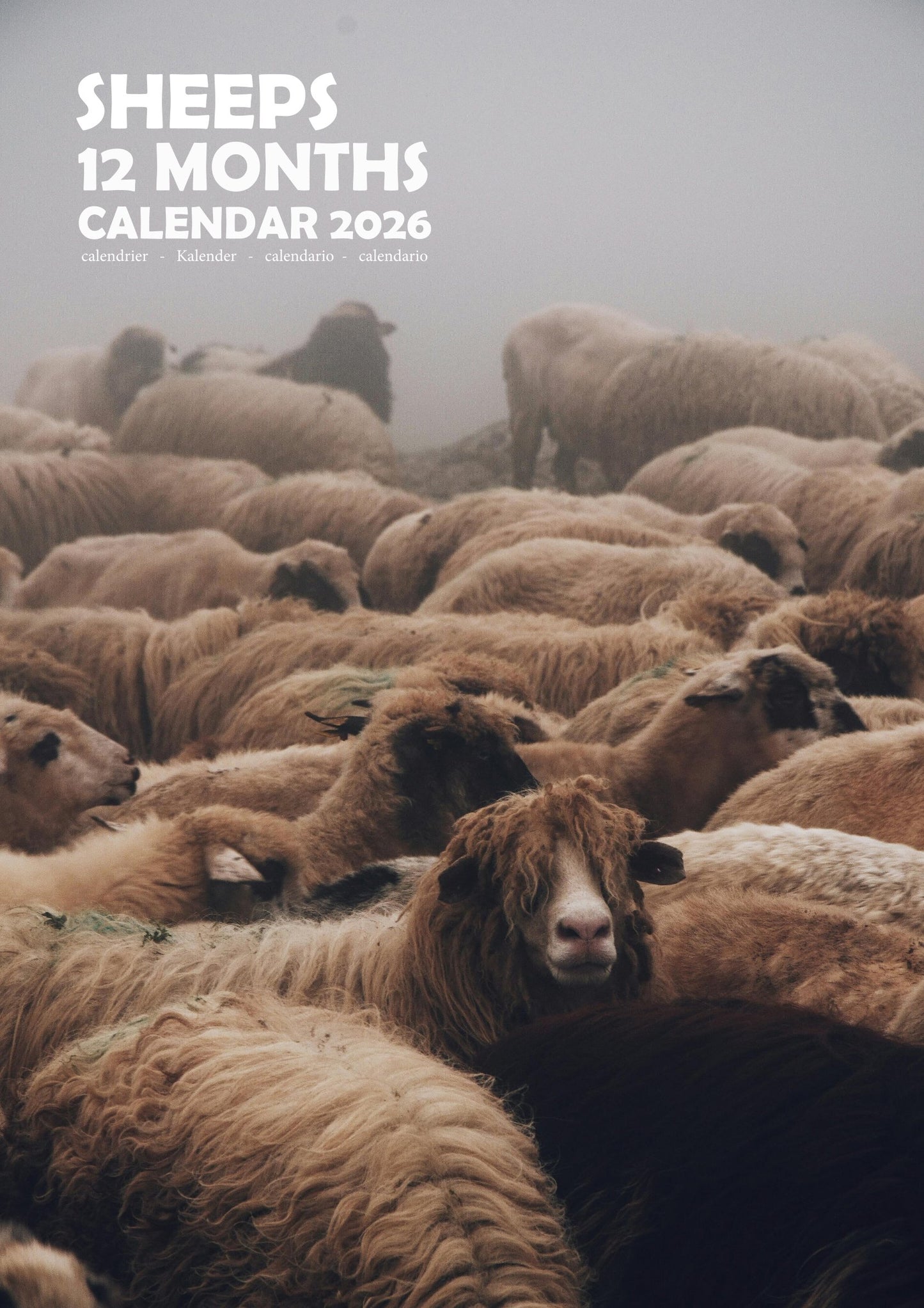 Sheep Calendar 2026 – M-PRA Range