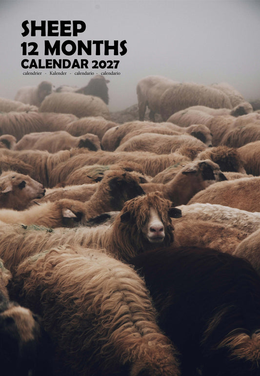 Sheep Calendar 2027 – M-PRA Range