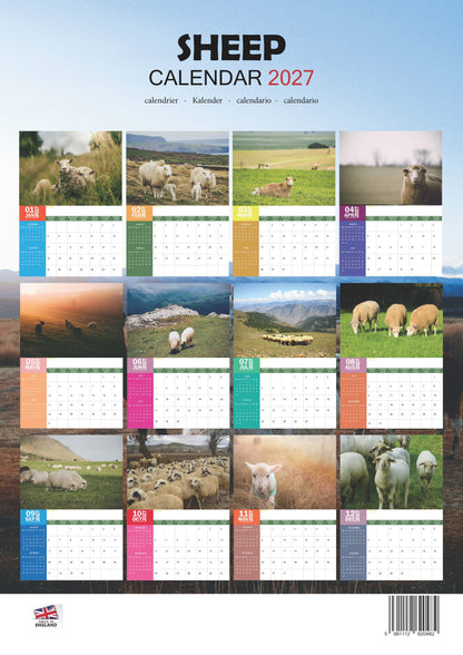 Sheep Calendar 2027 – M-PRA Range