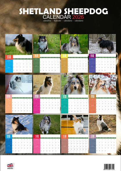 Shetland Sheepdog Calendar 2026 – M-PRA Range
