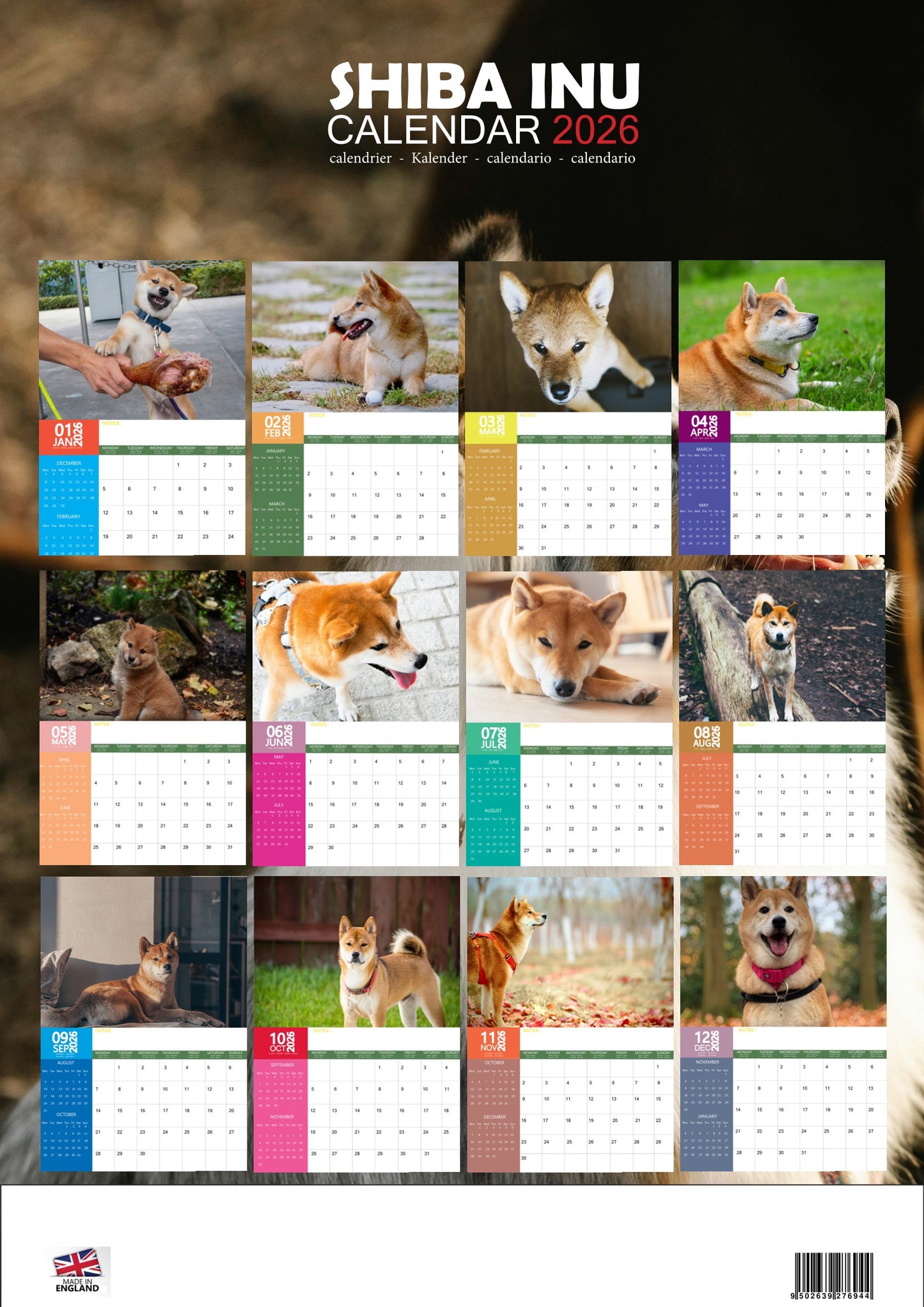 Shiba Inu Dog Calendar 2026 – M-PRA Range