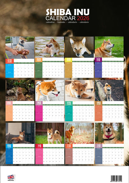 Shiba Inu Dog Calendar 2026 – M-PRA Range