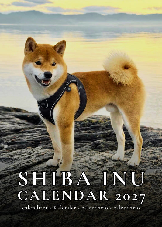 Shiba Inu Dog Calendar 2027 – M-PRA Range