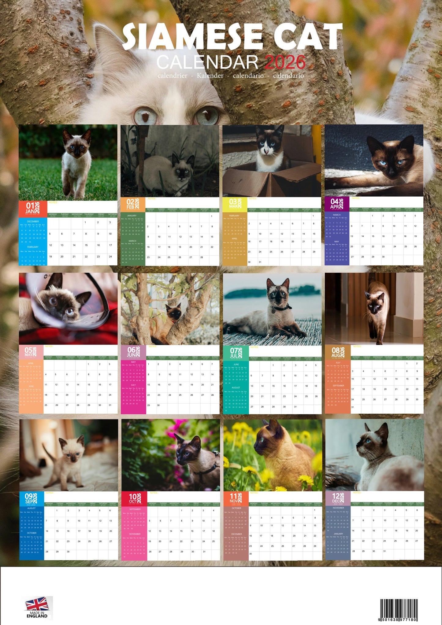 Siamese Cat Calendar 2026 – M-PRA Range