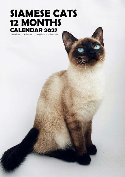 Siamese Cats Calendar 2027 – M-PRA Range