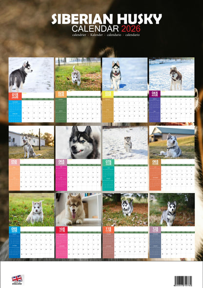 Siberian Husky Dog Calendar 2026 – M-PRA Range