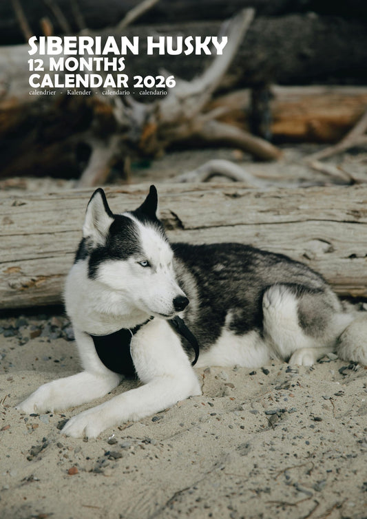 Siberian Husky Dog Calendar 2026 – M-PRA Range