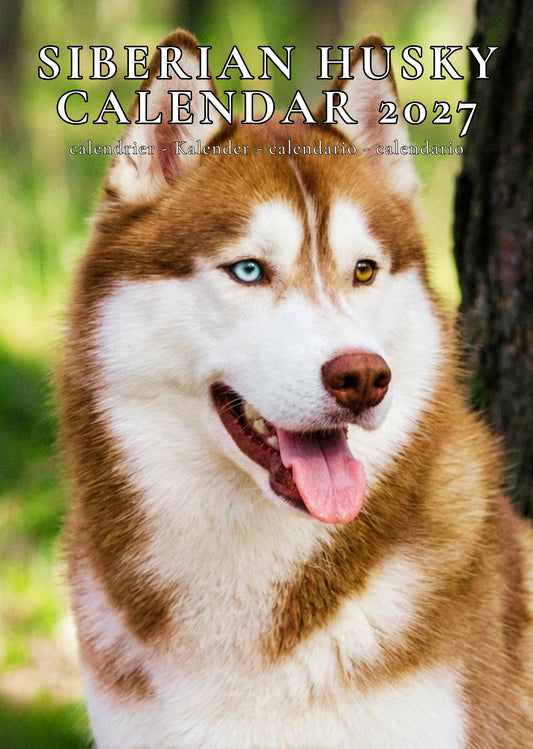 Siberian Husky Dog Calendar 2027 – M-PRA Range