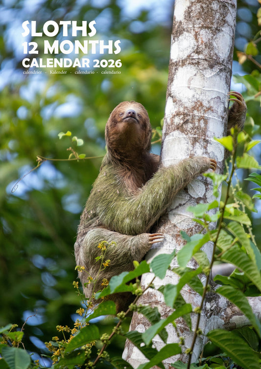 Sloths Calendar 2026 – M-PRA Range