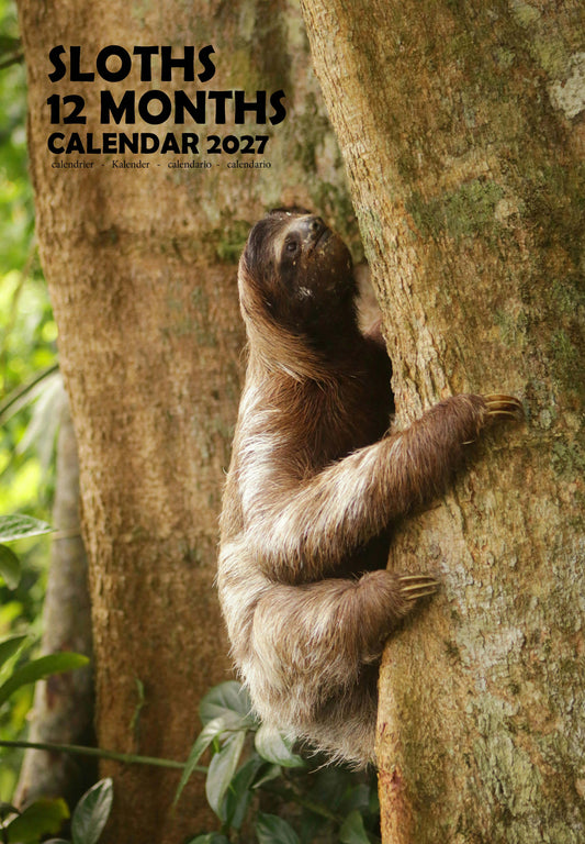 Sloths Calendar 2027 – M-PRA Range
