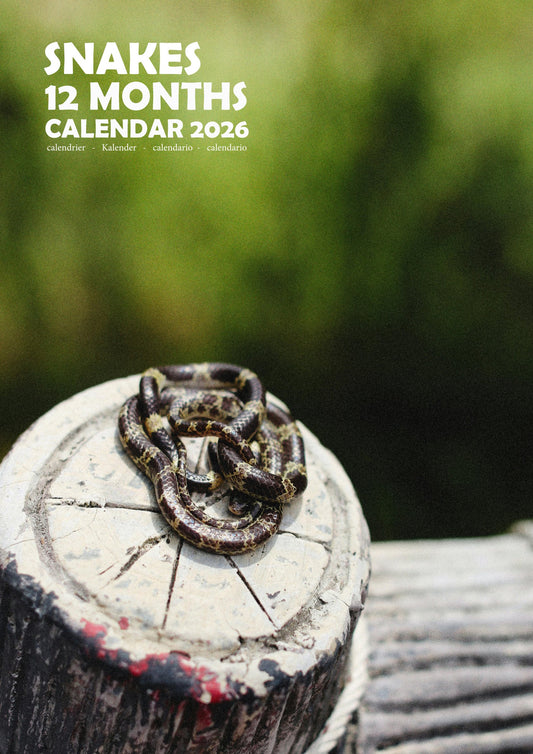 Snakes Calendar 2026 – M-PRA Range