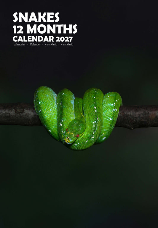 Snakes Calendar 2027 – M-PRA Range
